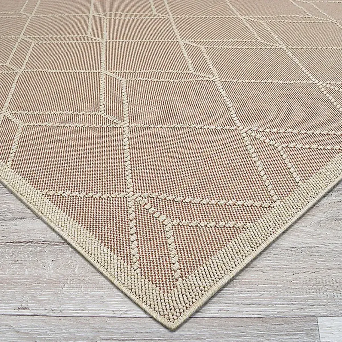 Tamiya Terracotta 5'3 x 7'6 Indoor/Outdoor Rug