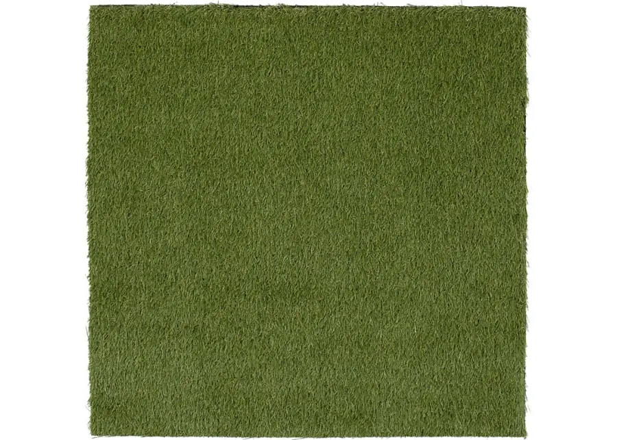 Gramen Green 5' x 7' Artificial Turf