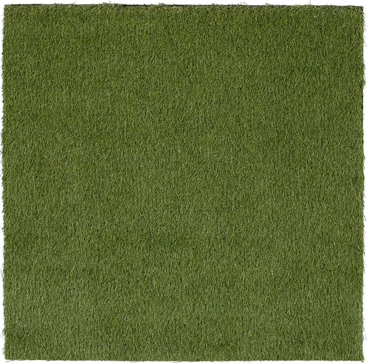 Gramen Green 5' x 7' Artificial Turf