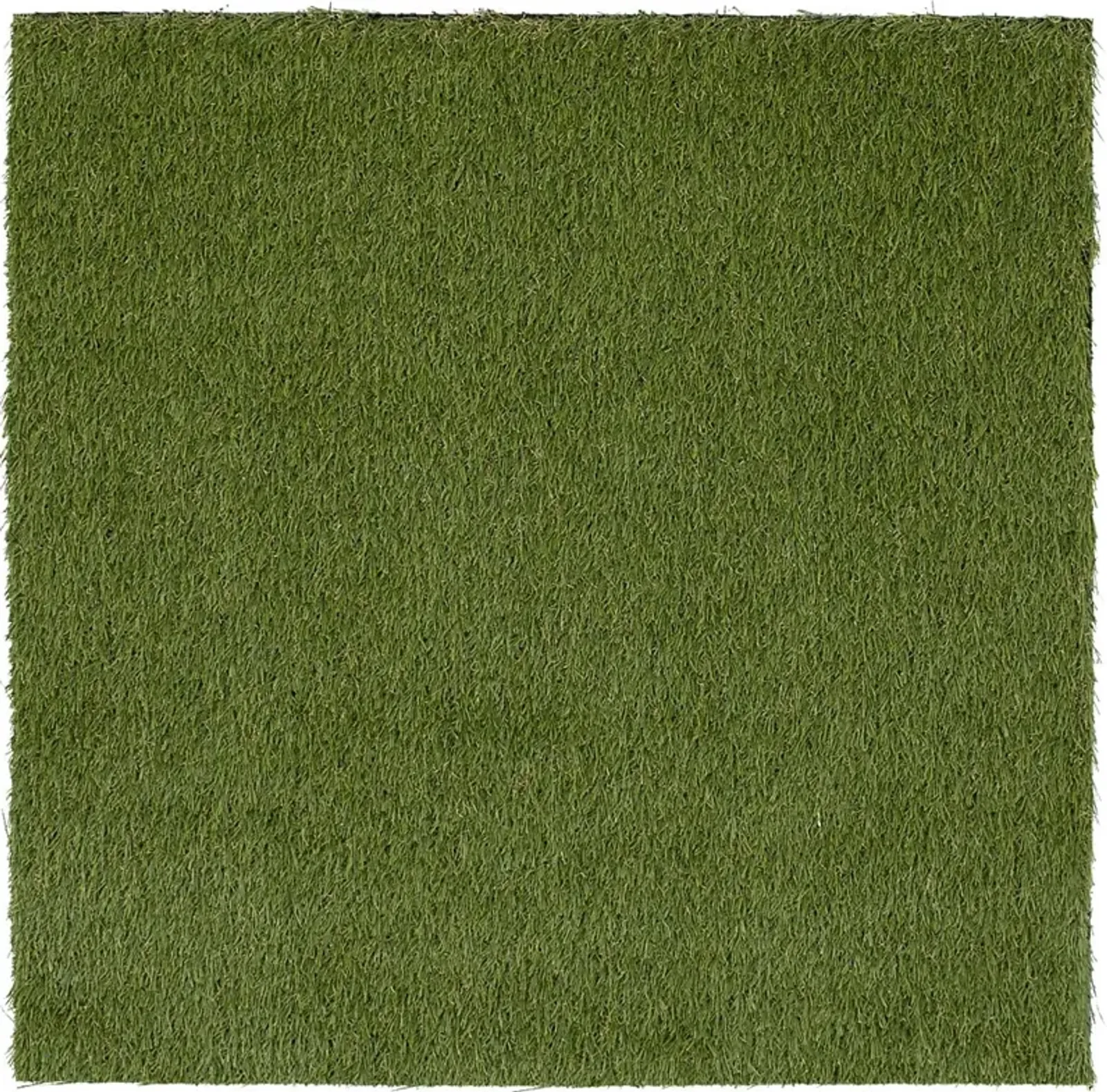 Gramen Green 3' x 8' Artificial Turf