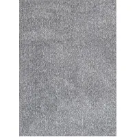 Kids Felicity Place Gray 3'3 x 5'3 Rug