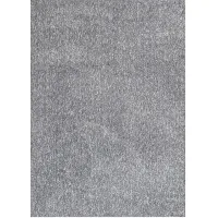 Kids Felicity Place Gray 5' x 7' Rug