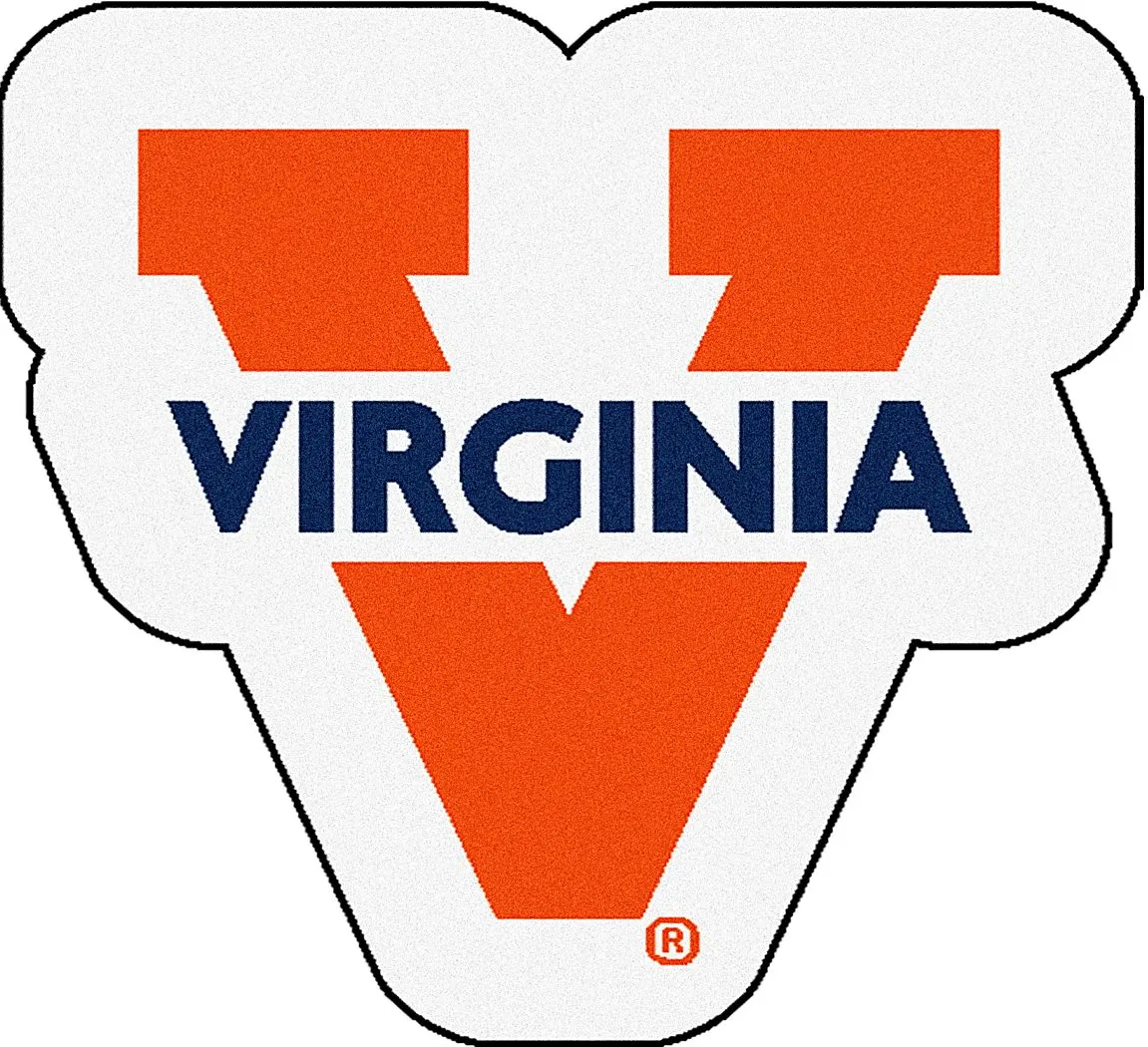 NCAA Football Mascot University of Virginia 1'6"" x 2' Rug