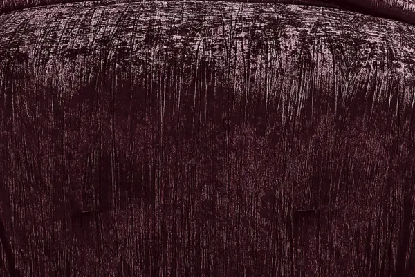 Kids Recine Purple Twin Comforter Set