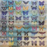 Kids Butterfly Family Rainbow Wall Art