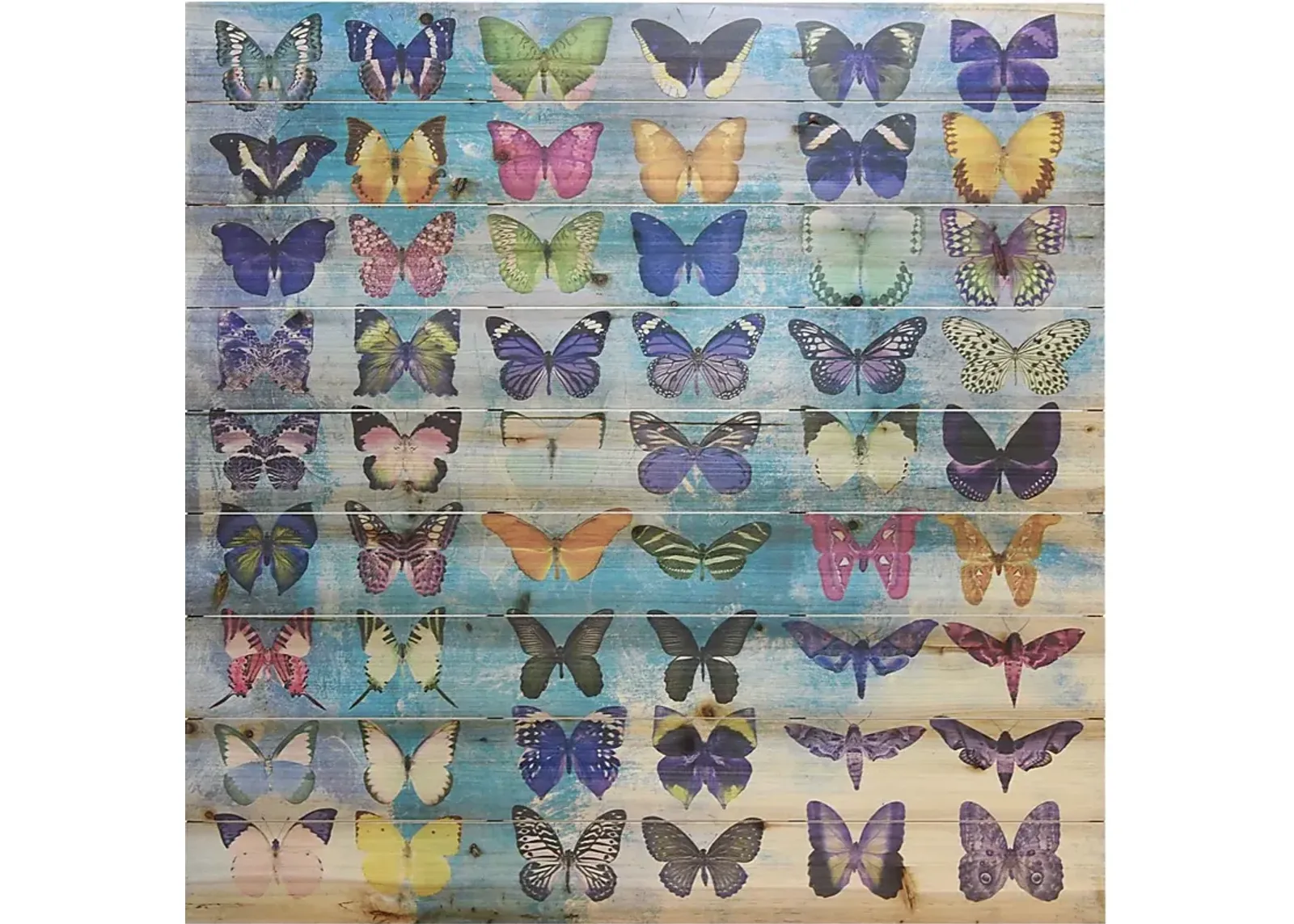 Kids Butterfly Family Rainbow Wall Art