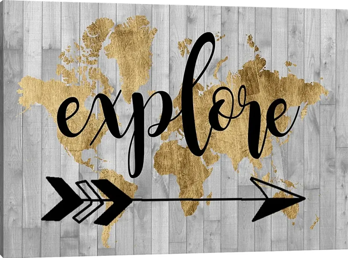 Kids Golden Explorer Gray Artwork