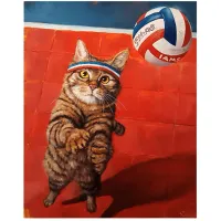 Kids Cat Volley Red Artwork