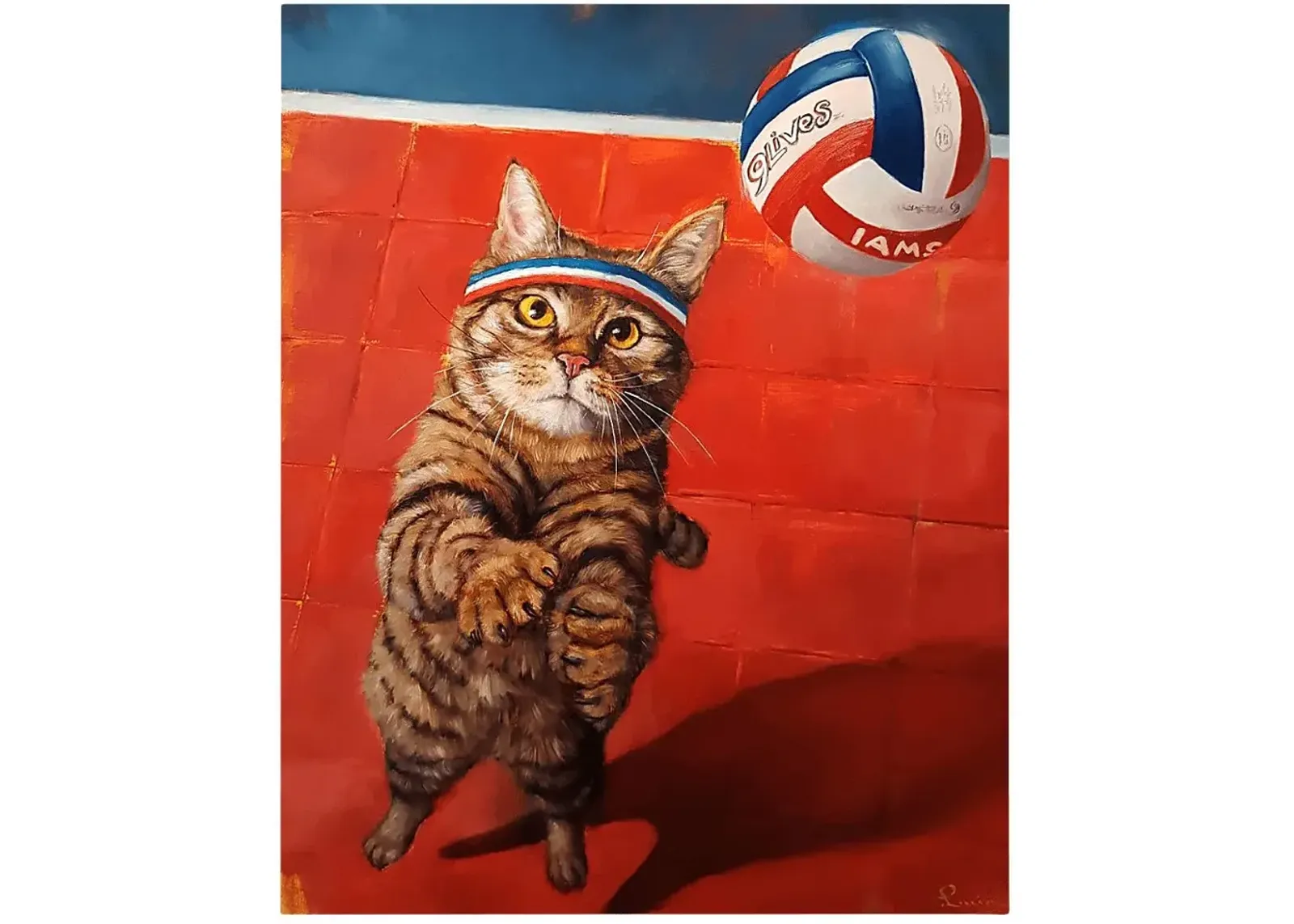 Kids Cat Volley Red Artwork