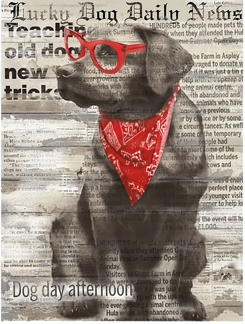 Kids Doggie Papers II Gray Artwork