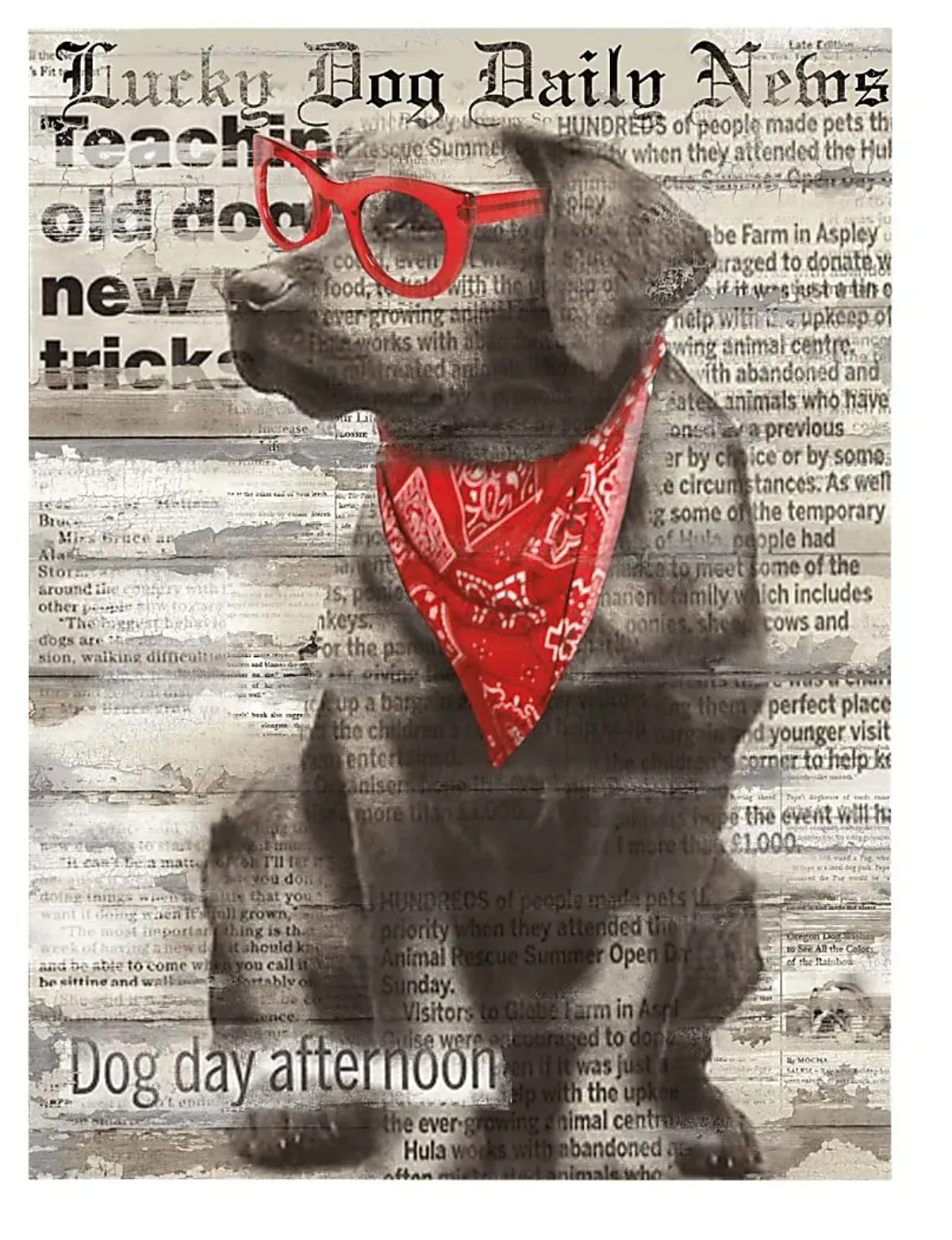 Kids Doggie Papers II Gray Artwork