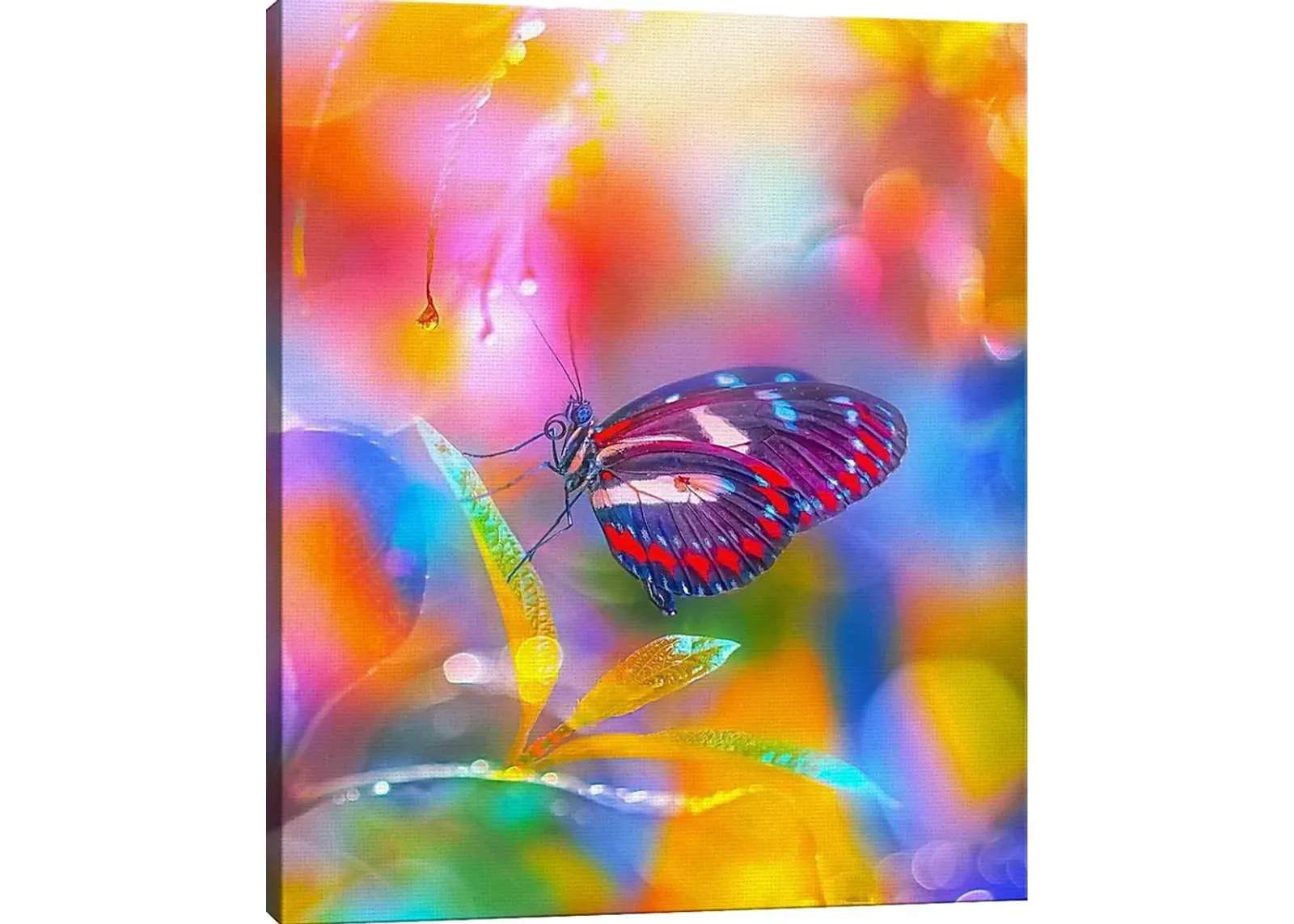 Kids Kaleidoscope Butterfly I Rainbow Artwork