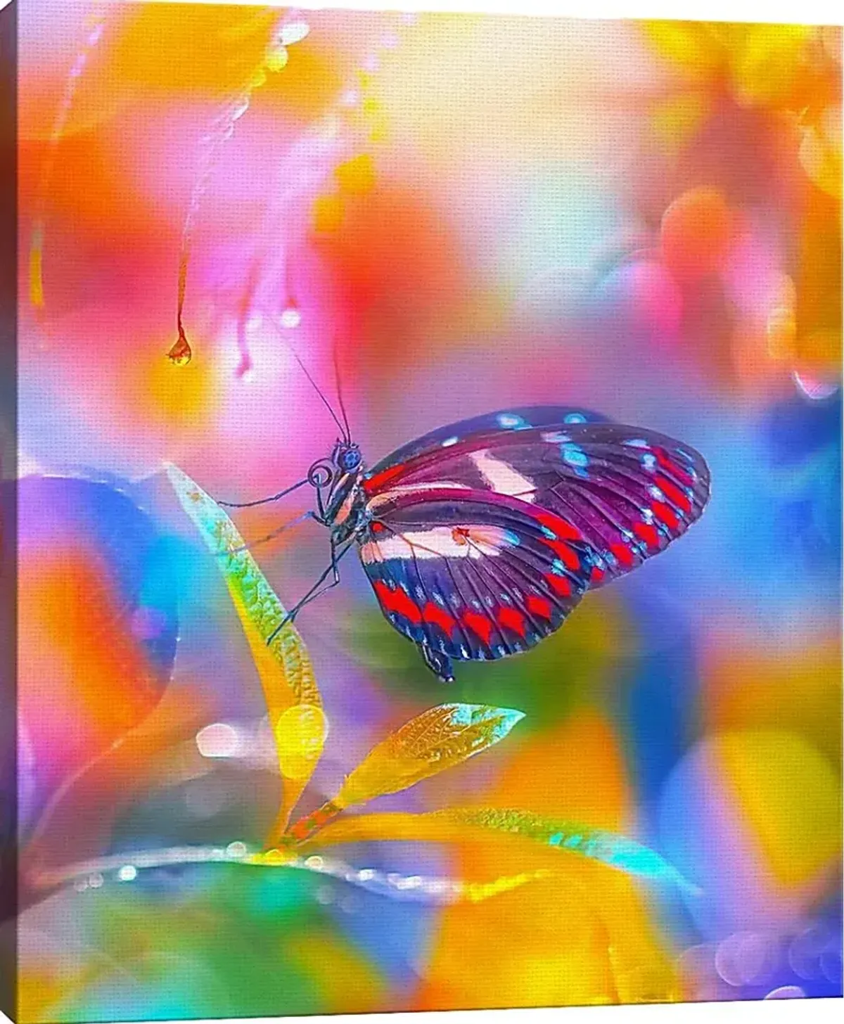 Kids Kaleidoscope Butterfly I Rainbow Artwork