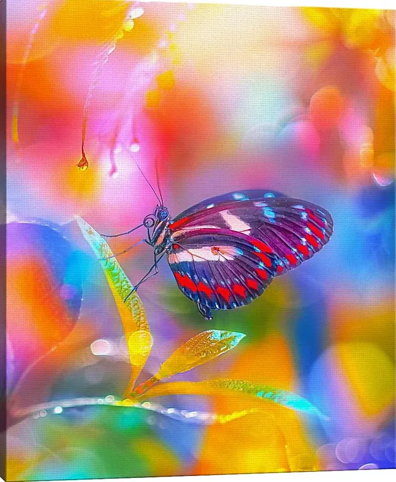 Kids Kaleidoscope Butterfly II Rainbow Artwork