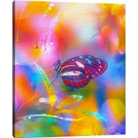 Kids Kaleidoscope Butterfly II Rainbow Artwork