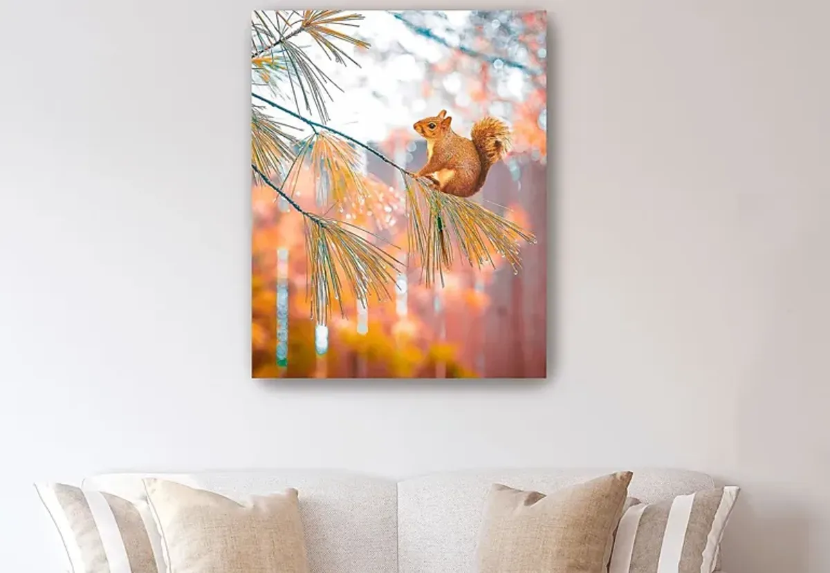 Kids Baby Squirrel I Brown Artwork