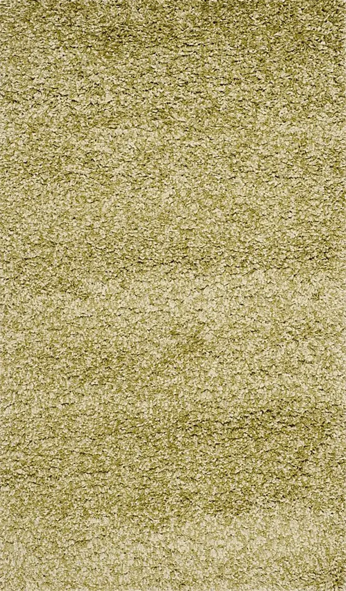 Cleona Green 3' x 5' Rug