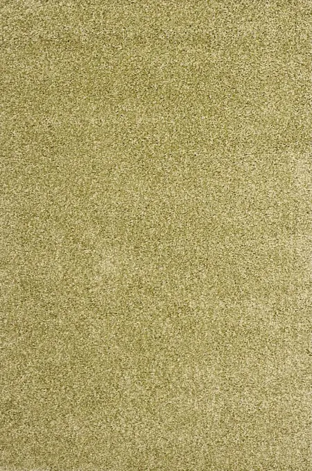 Cleona Green 4' x 6' Rug