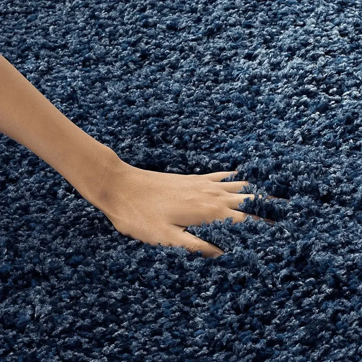 Cleona Navy 5'3 x 7'6 Rug