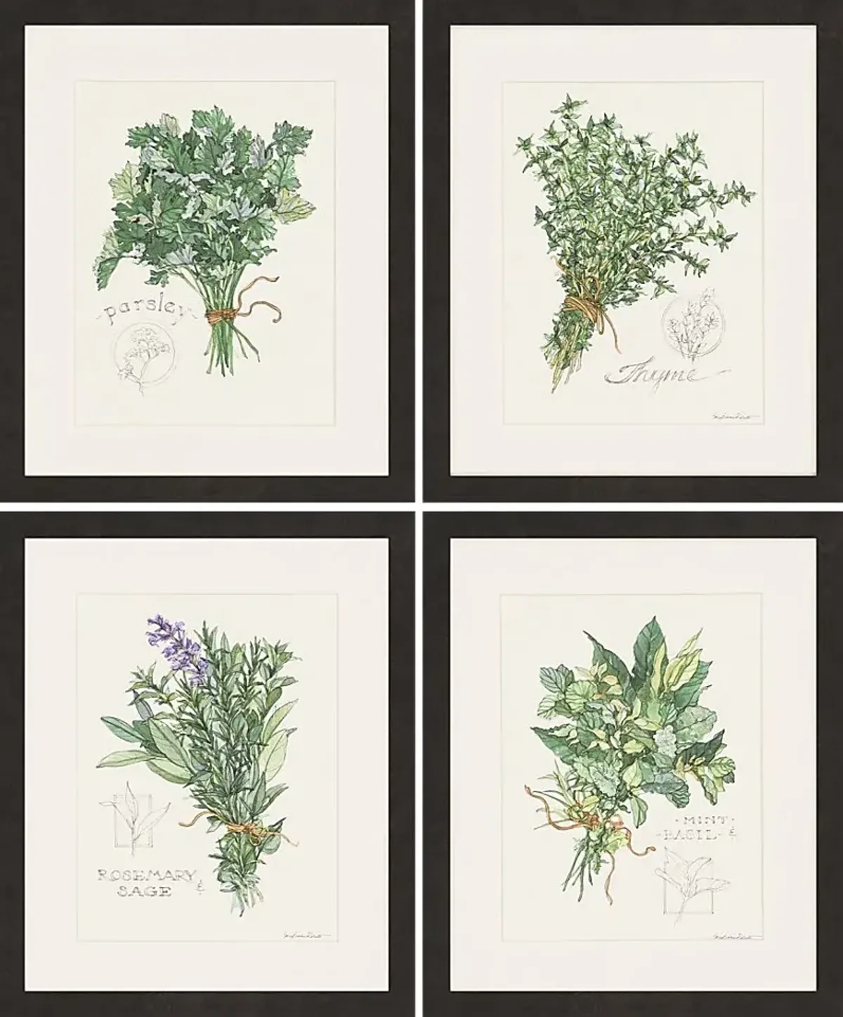 Traditional Herbs Artwork, Set of 4