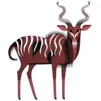 Kids Antelope Games Artwork