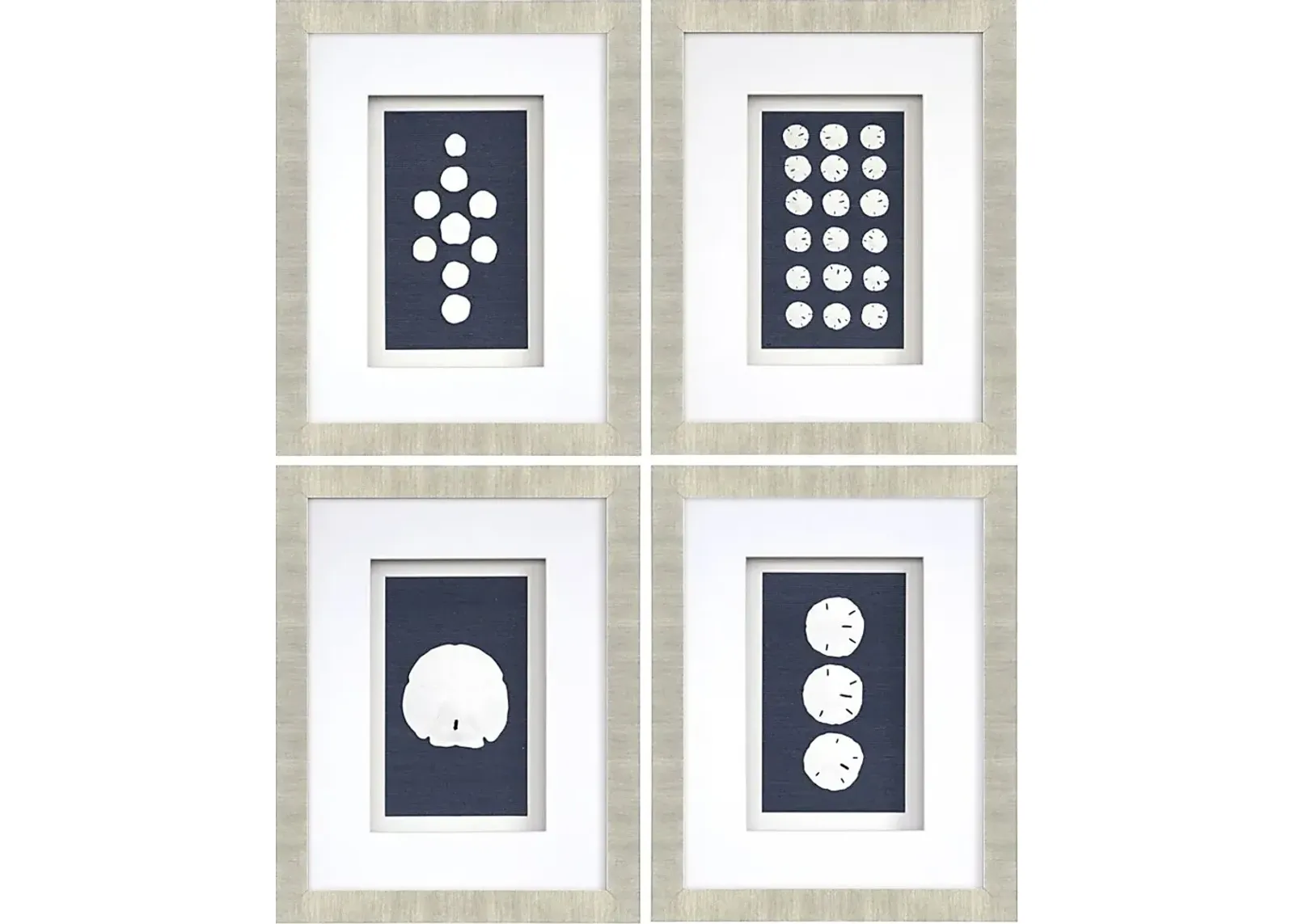 Sand Dollars Set of 4 Artwork