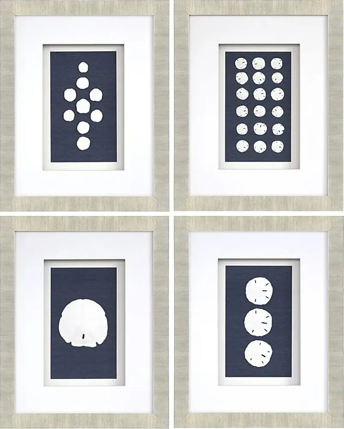 Sand Dollars Set of 4 Artwork