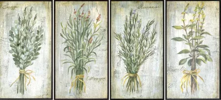 Casual Herbs Set of 4 Artwork