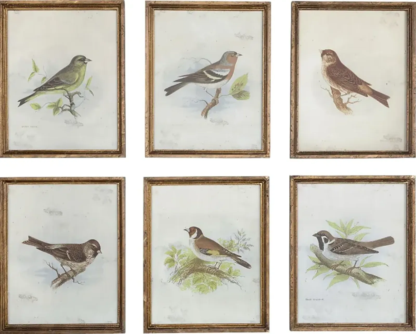 Larks Brown Artwork, Set of 6