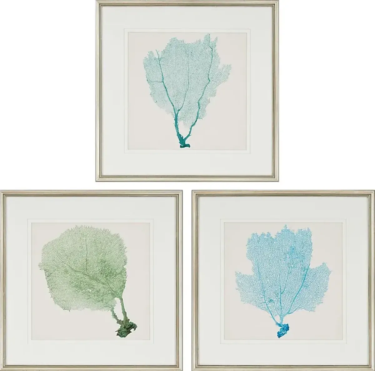 Sarvene I Set of 3 Artwork