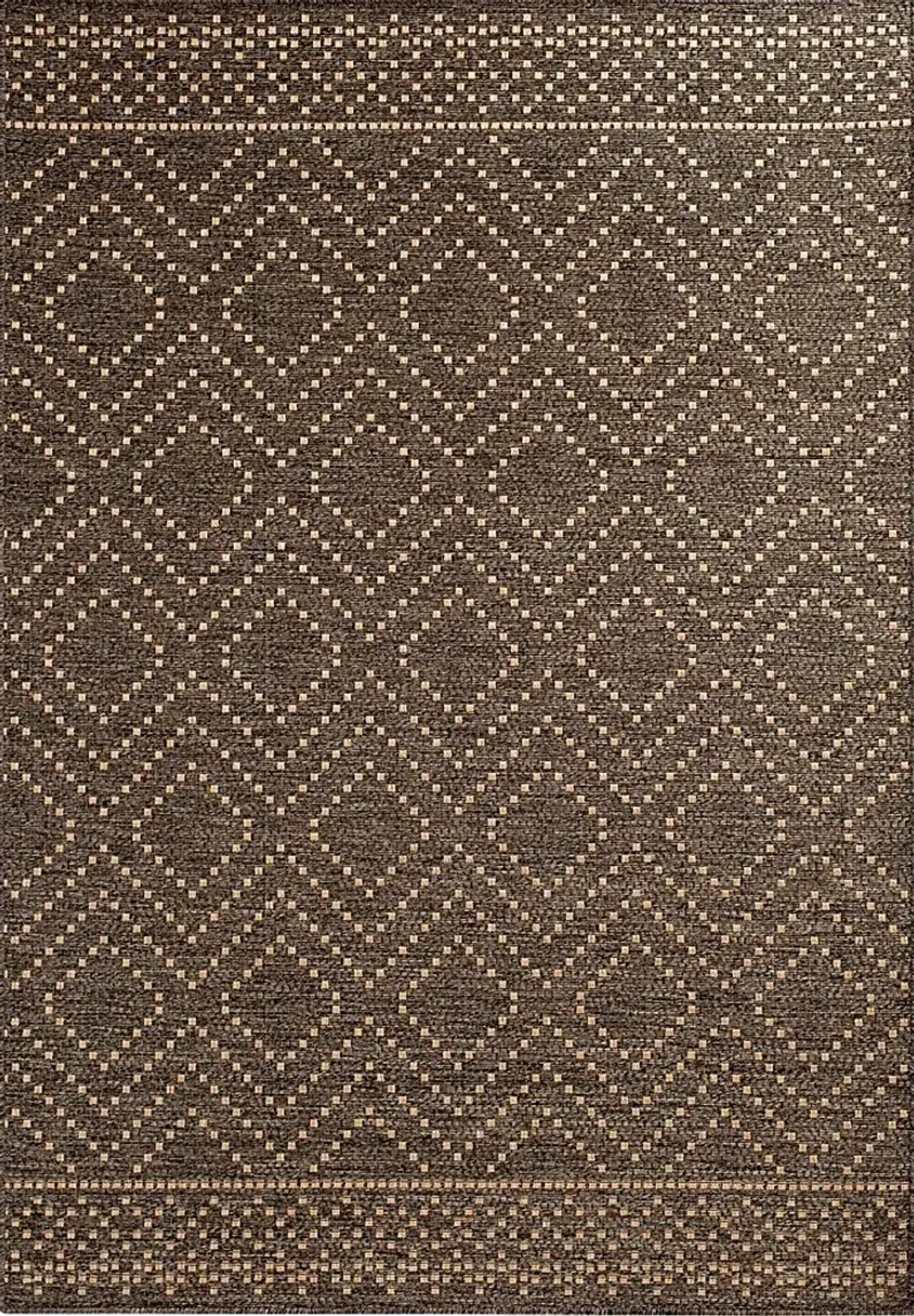 Danyal Brown 7'10 x 9'10 Indoor/Outdoor Rug