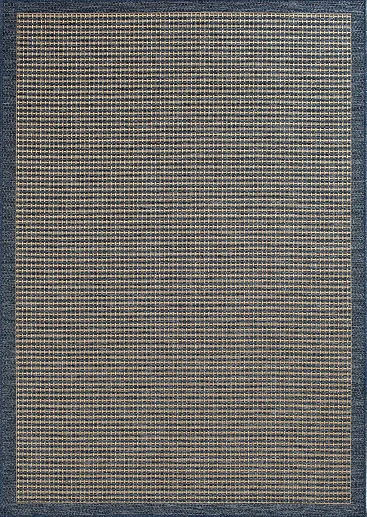 Gasha Blue 7'10 x 9'10 Indoor/Outdoor Rug