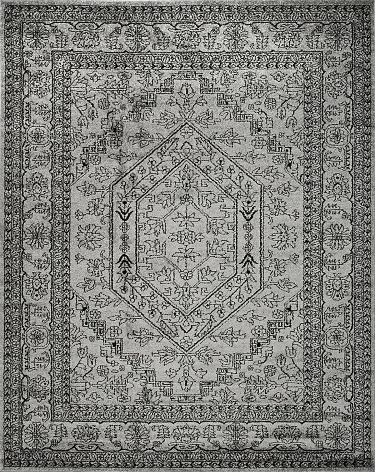 Daylee Silver 8' x 10' Rug