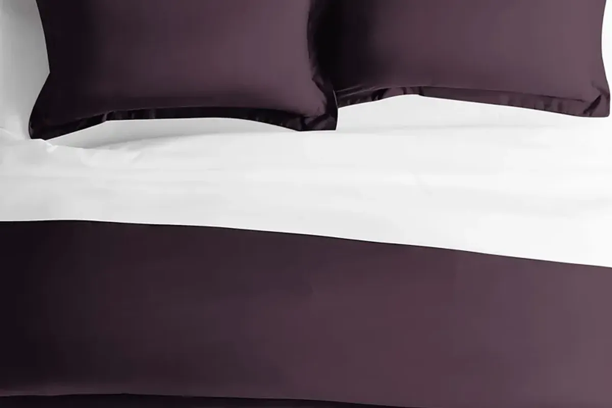 Belden Landing I Purple 3 Pc Queen Duvet Set