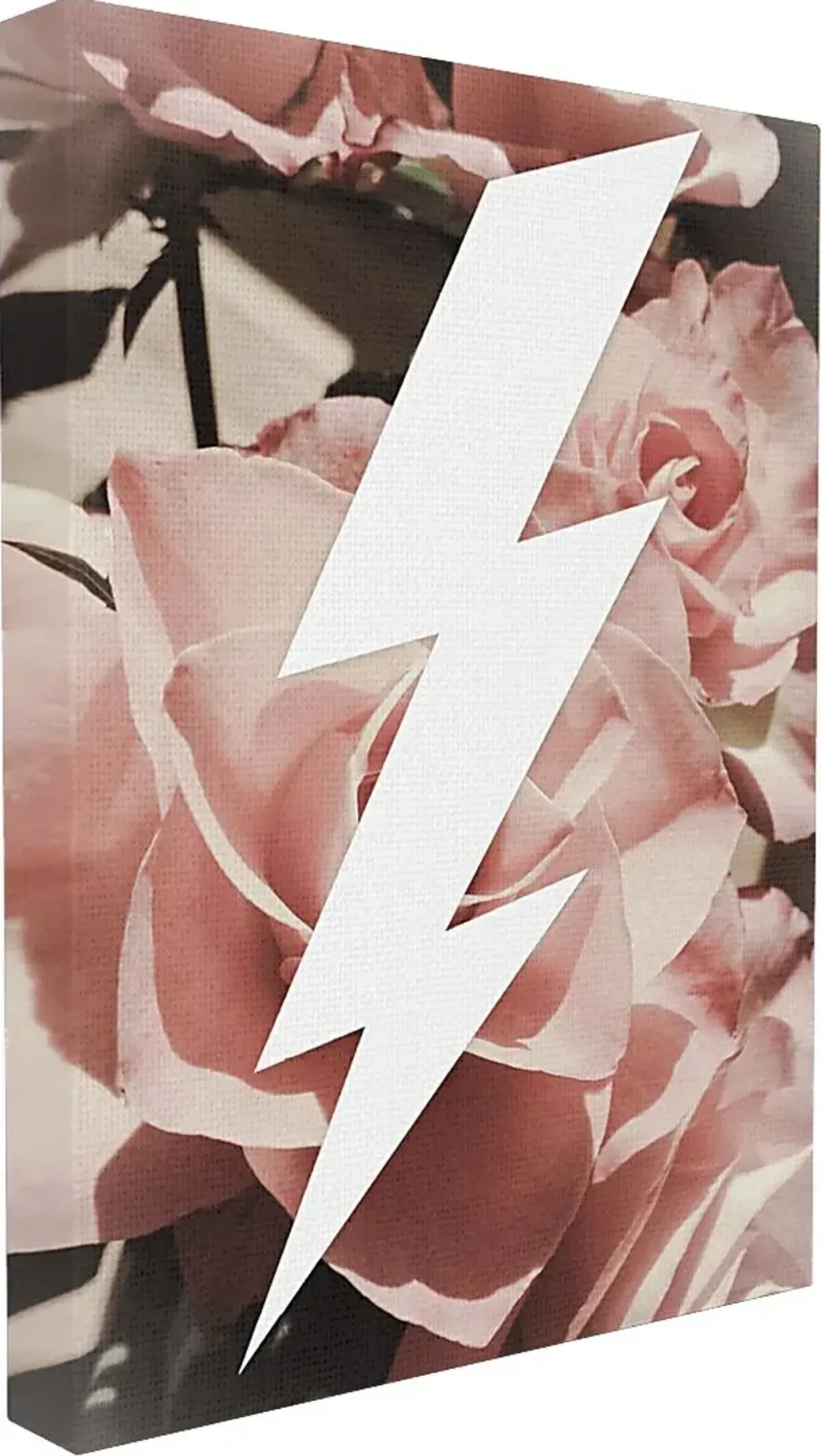 Kids Graphic Lightning Bolt and Roses Artwork