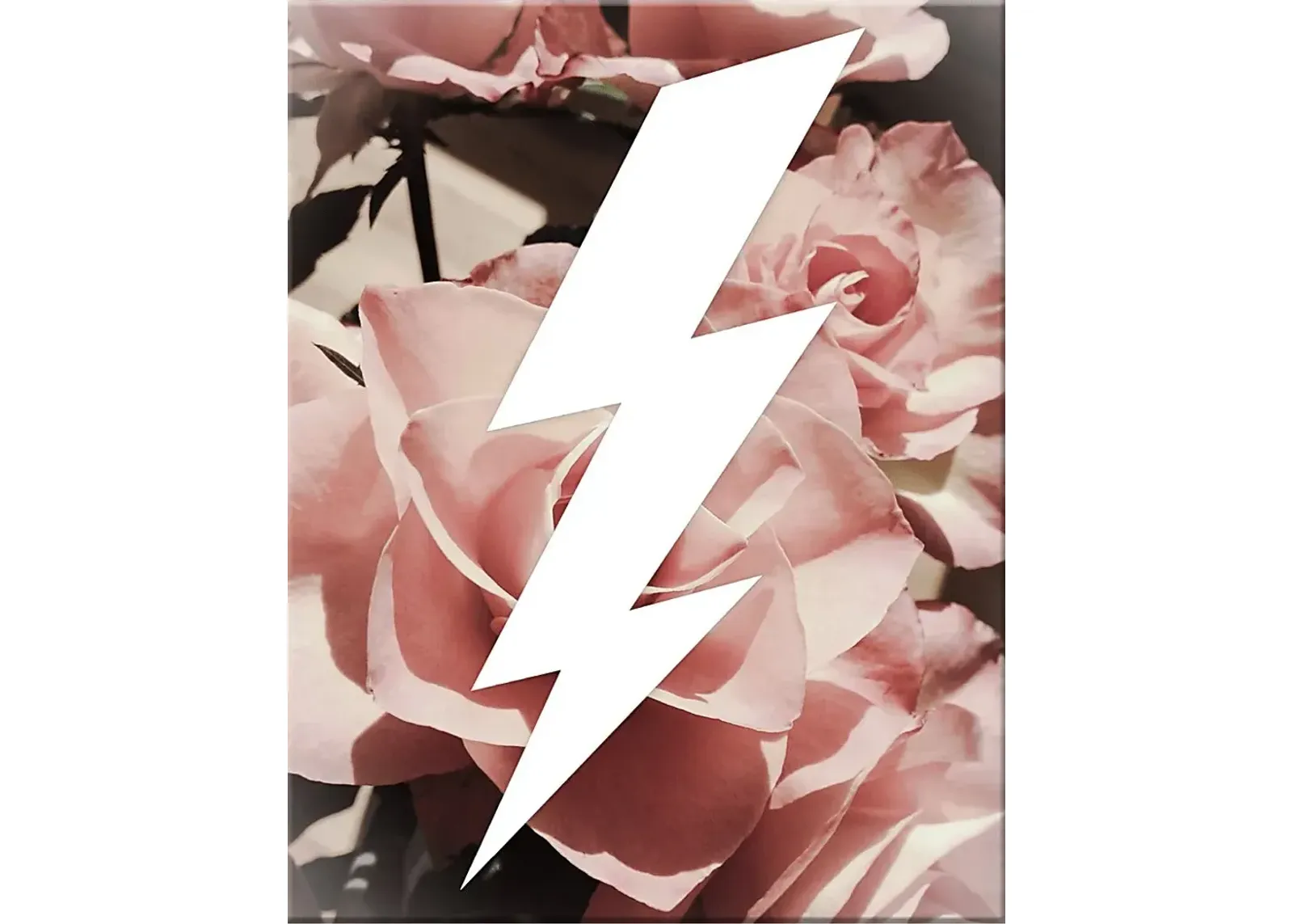 Kids Graphic Lightning Bolt and Roses Artwork