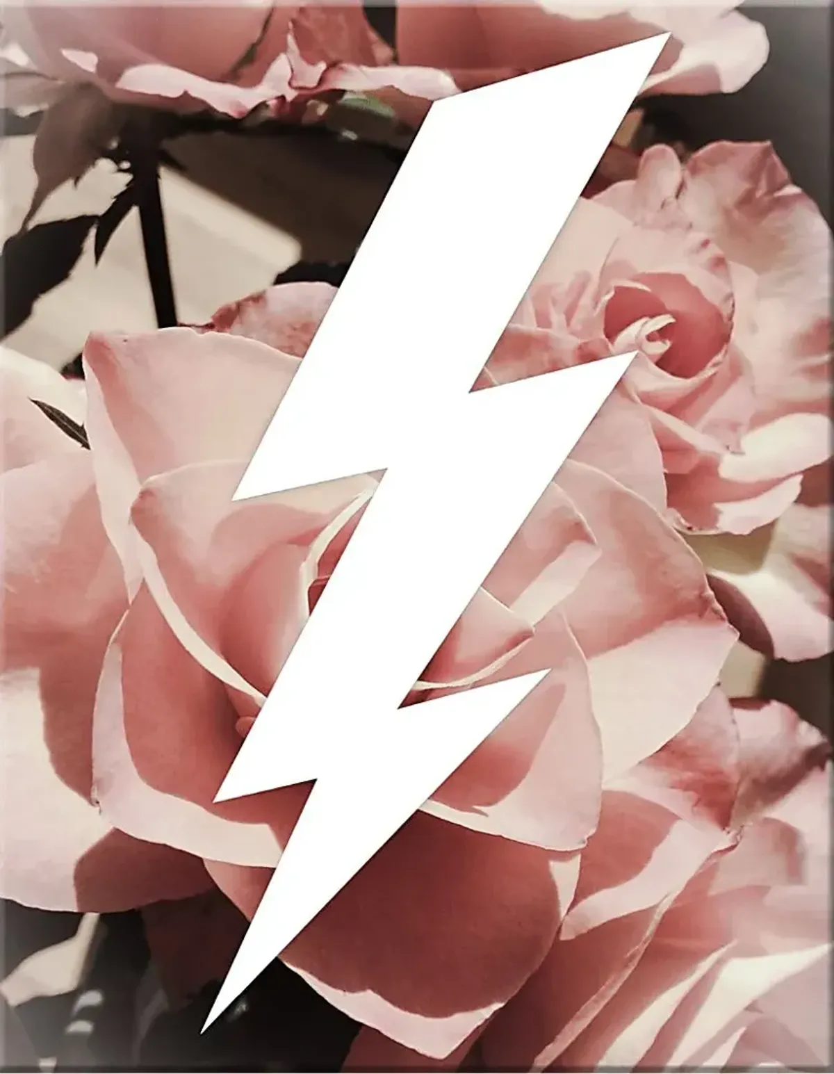 Kids Graphic Lightning Bolt and Roses Artwork