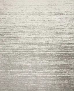 Light Gray color