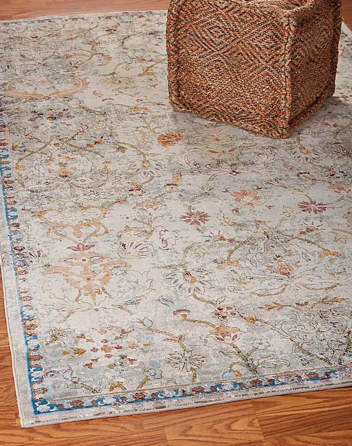 Dresera Multi 5' x 8' Rug