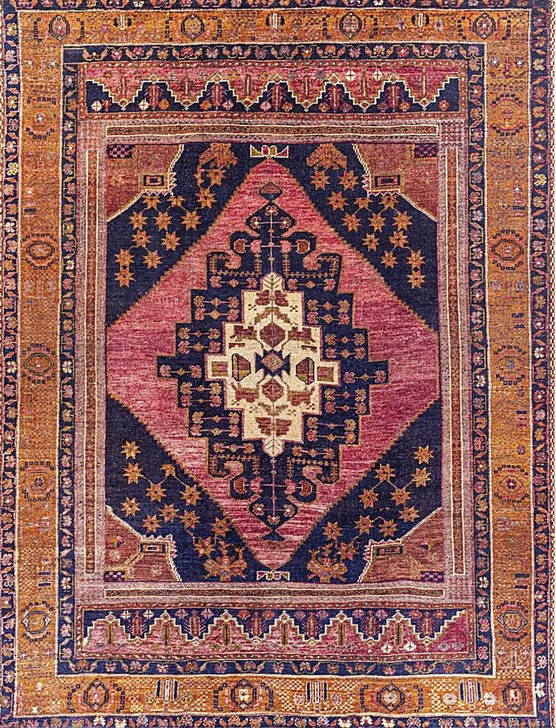 Emelyn Orange 7'8 x 10' Rug