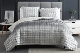 Silver color