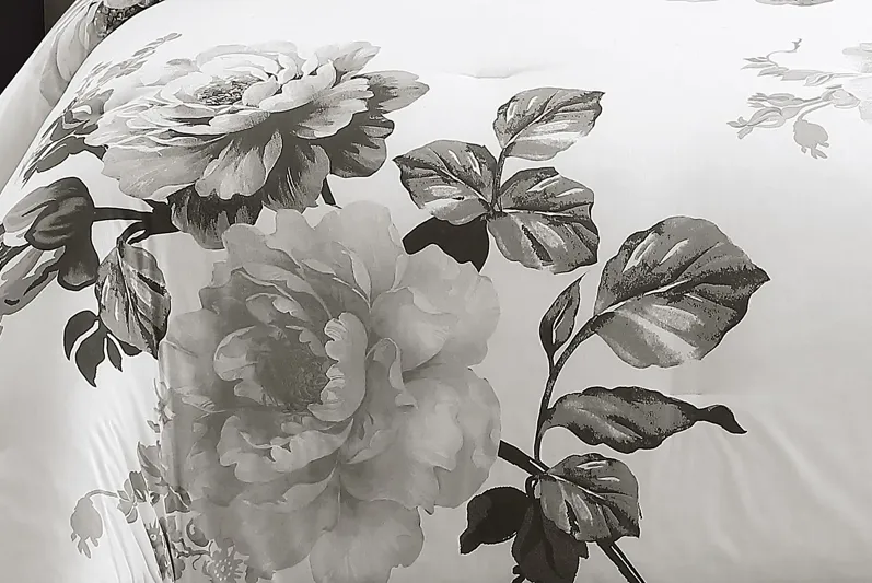 Elrissa Cream Black 7 Pc Queen Comforter Set