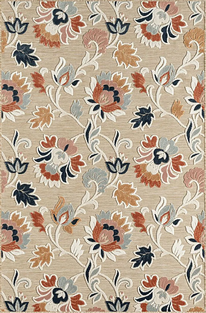 Anailas Beige 5' x 7' Rug