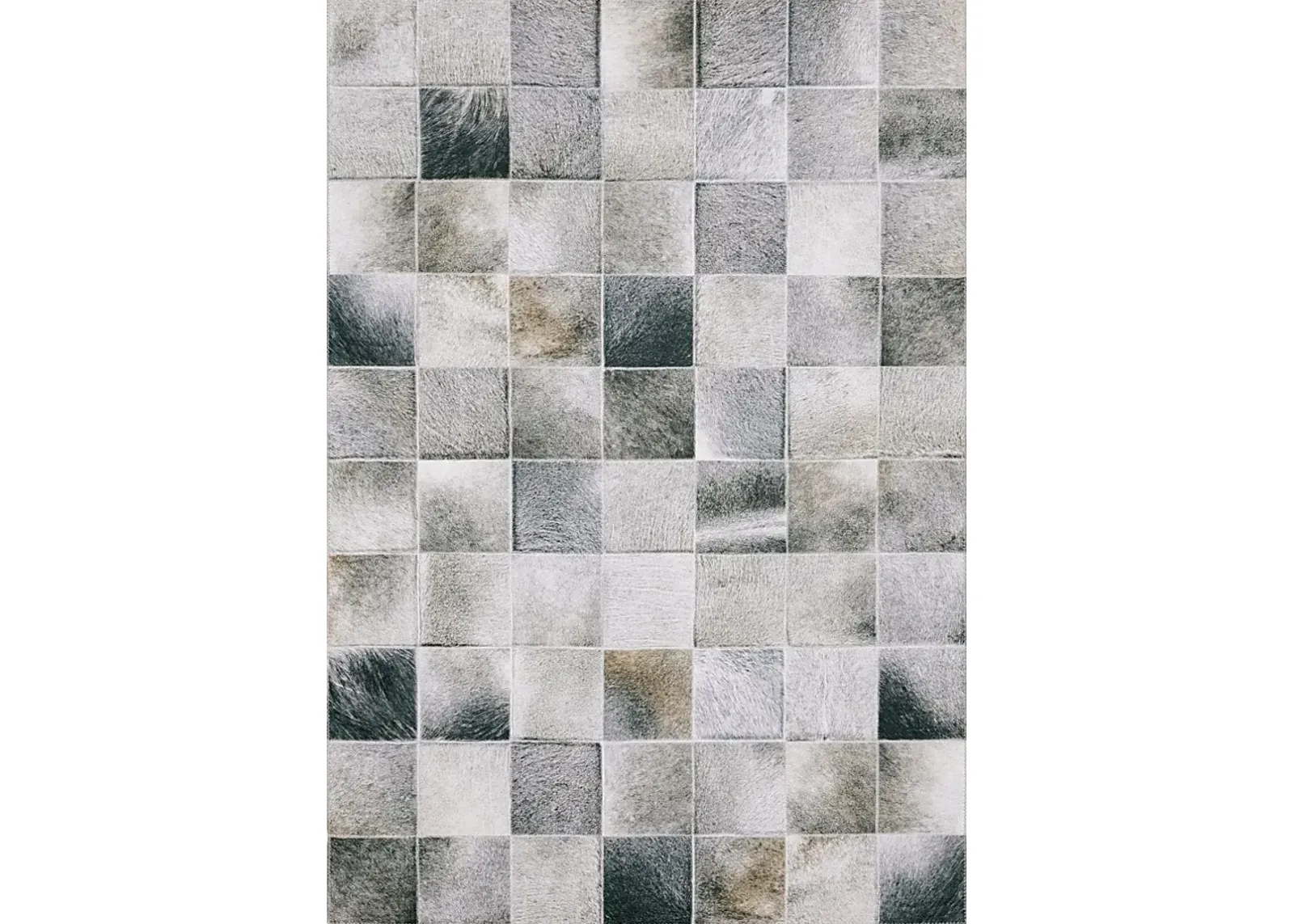 Blaisdell Gray 2' x 8'1 Rug