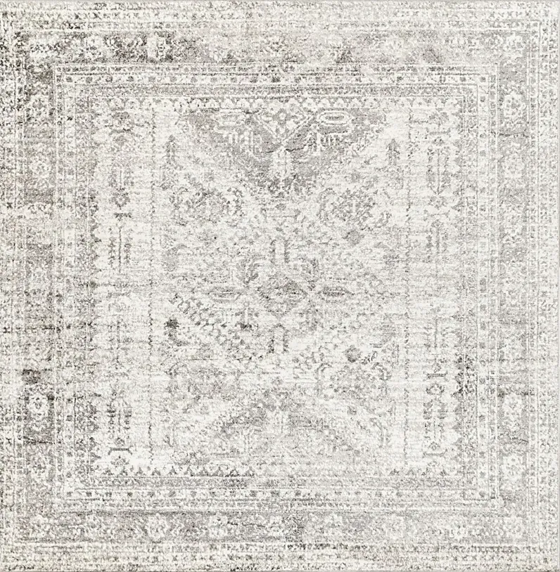 Transcom III Gray 6'7 Square Rug