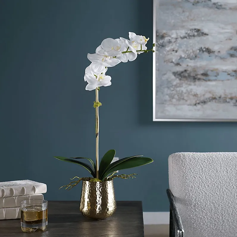 Fillingim White Faux Orchid