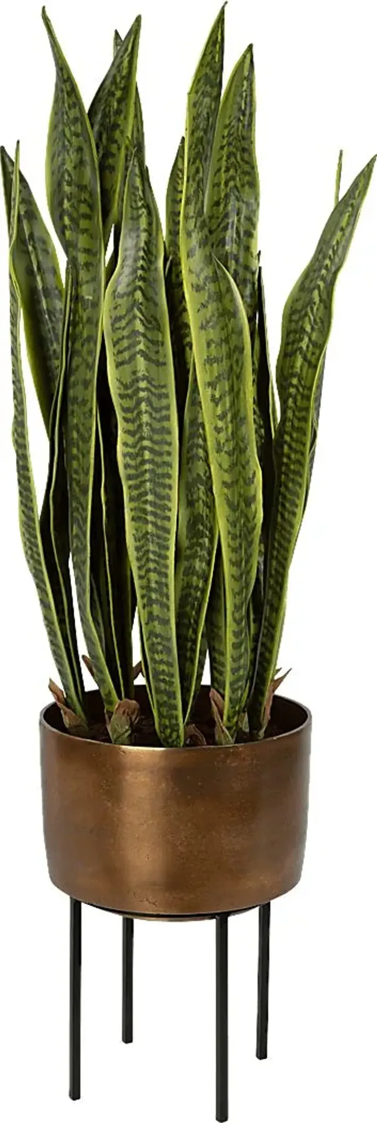 Gloriadale Green Faux Snake Plant