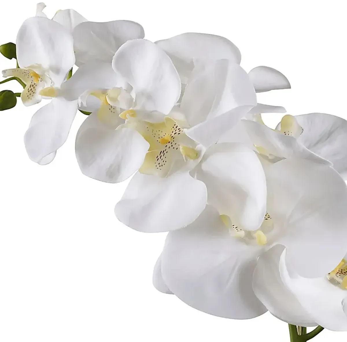 Gosson White Faux Orchid