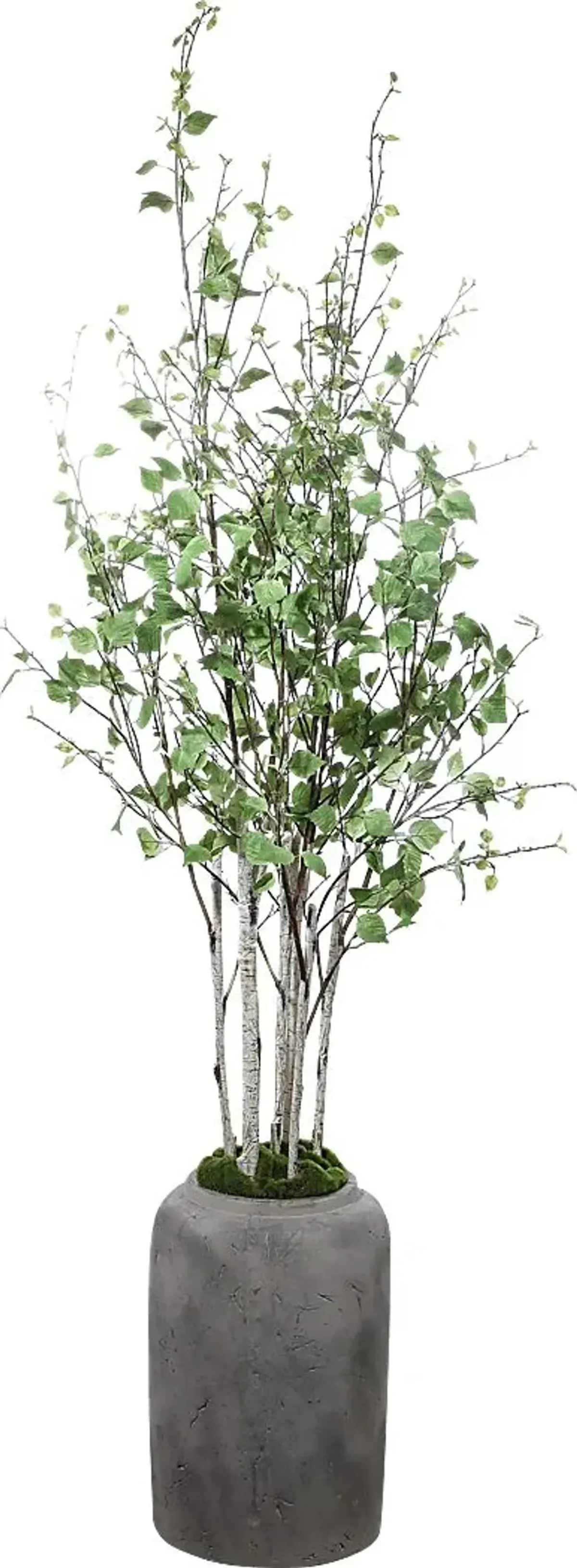 Hayles Green Faux River Birch