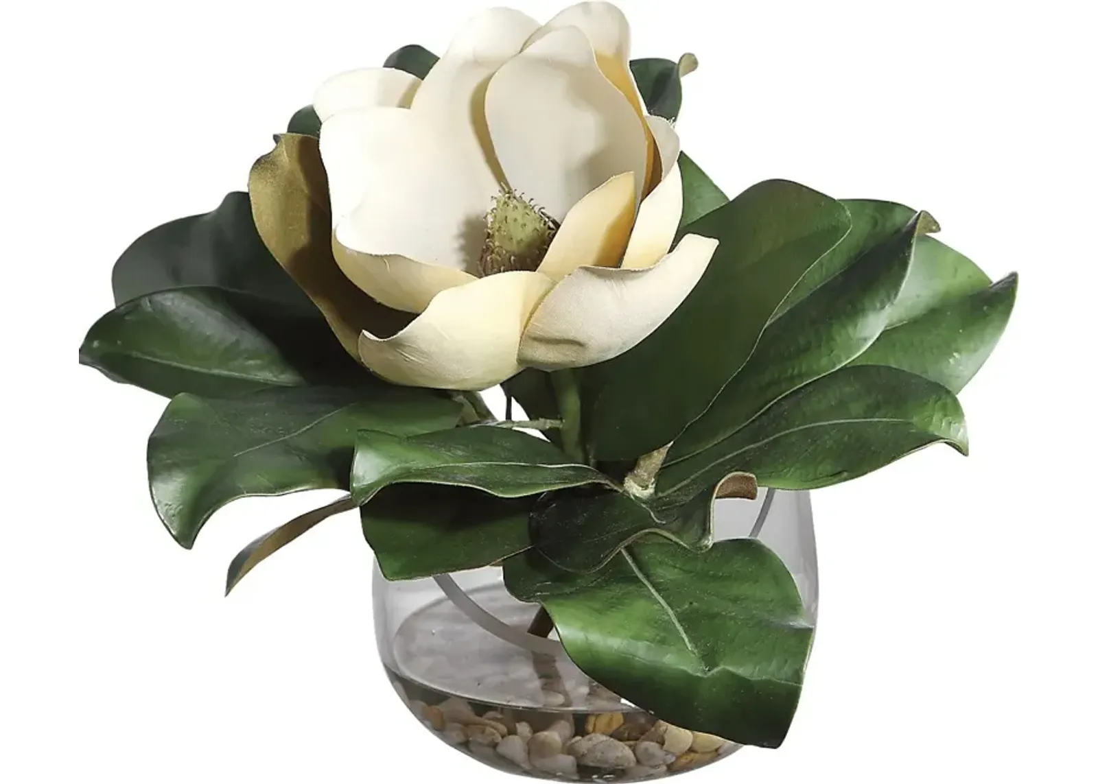 Hazeur White Silk Magnolia